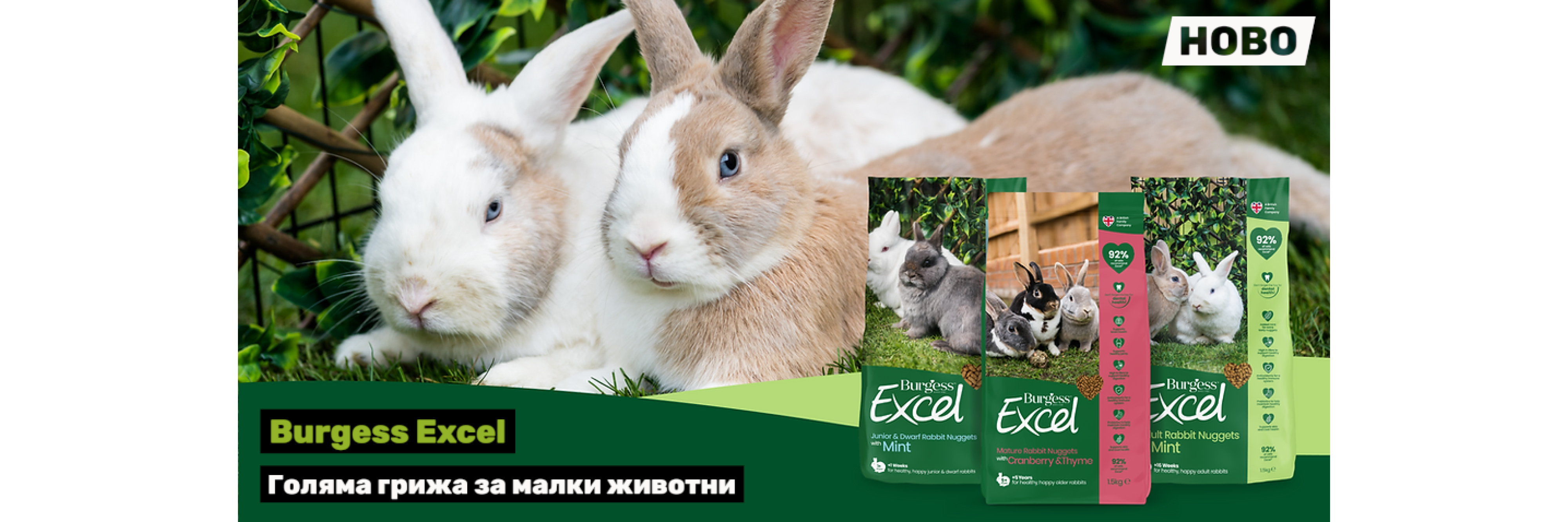 Burgess Excel  - zoozazo.com